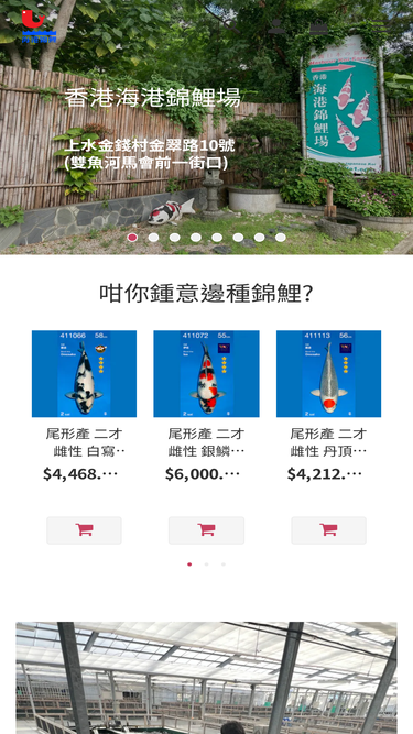 koi.com.hk