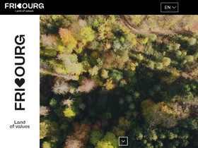 'fribourgregion.ch' screenshot