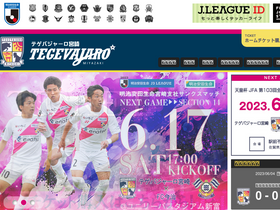 'tegevajaro.com' screenshot