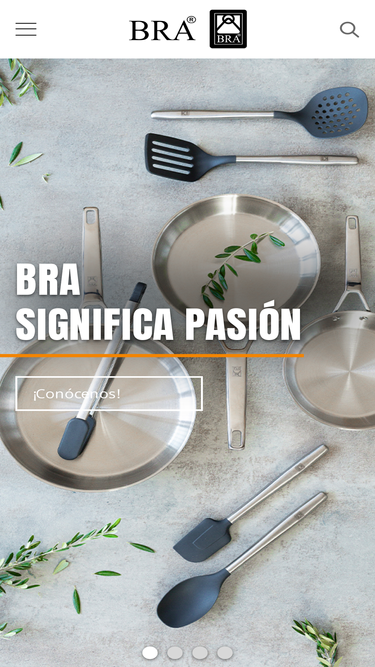 braisogona.com