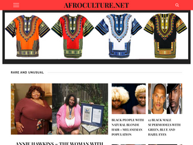 'afroculture.net' screenshot