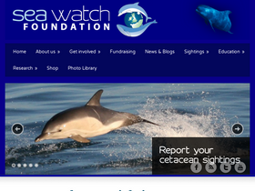 seawatchfoundation.org.uk
