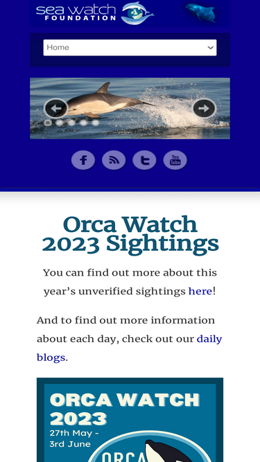 seawatchfoundation.org.uk