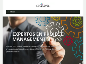 'ceolevel.com' screenshot