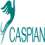 caspianairlines.com