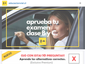 'educacionvial.cl' screenshot