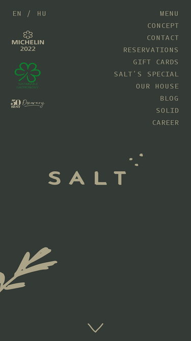 saltbudapest.com