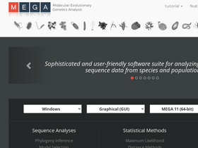 'megasoftware.net' screenshot