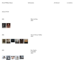 davidwilliambaum.com