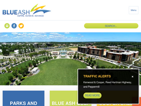 'blueash.com' screenshot