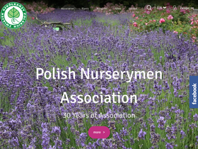 'zszp.pl' screenshot