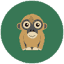 themightyjungle.ca