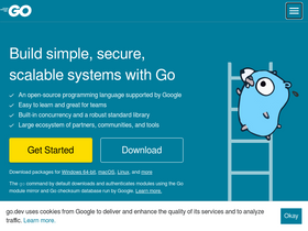 'go.dev' screenshot