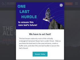 'batcon.org' screenshot