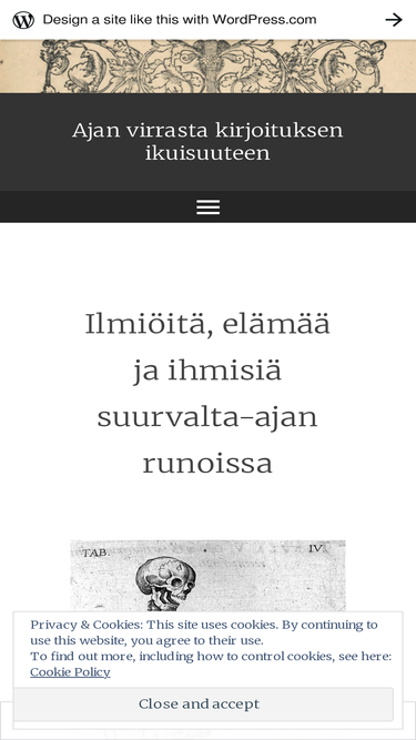 ajanvirrasta.wordpress.com