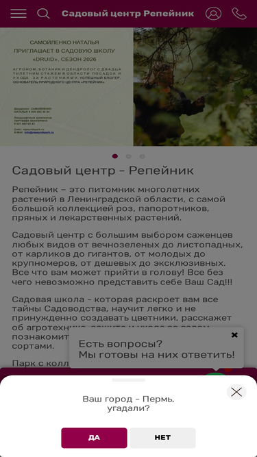 repeynikpark.ru