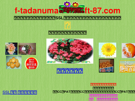 ft-87.com