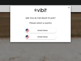 World Leading Deep Muscle Massage Therapy – The Vibit website screenshot