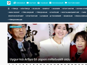 'turkcenindirilisi.com' screenshot