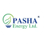 pashaenergybd.com