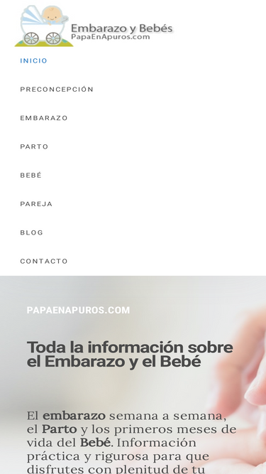 papaenapuros.com