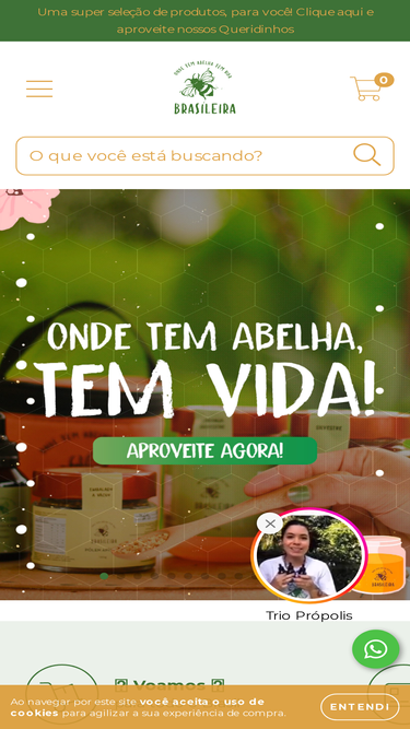 apiariobrasileira.com