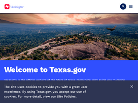 'hhs.texas.gov' screenshot