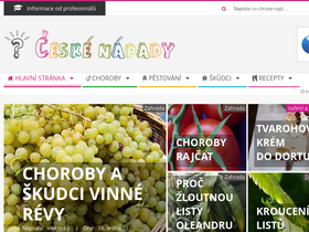 'ceskenapady.cz' screenshot
