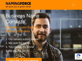 'namingforce.com' screenshot