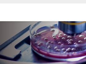 vinotec.com