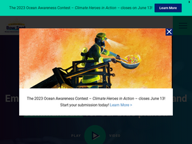 'bowseat.org' screenshot