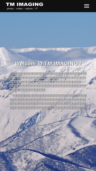tm-imaging.jp
