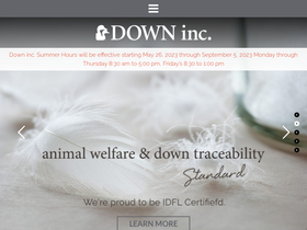 downinc.com