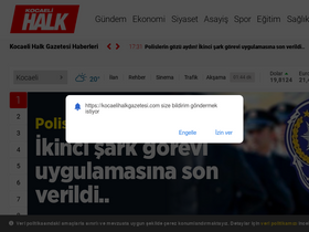 'kocaelihalkgazetesi.com' screenshot