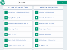 'yalnizmp3.ws' screenshot