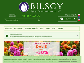 'bilscy.info' screenshot