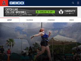 'theamerican.org' screenshot