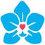 bpdsupportgroup.wordpress.com