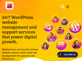 'wpbuffs.com' screenshot