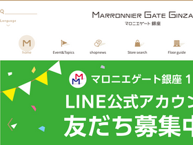 'marronniergate.com' screenshot