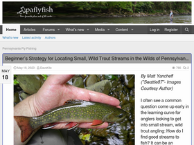 'paflyfish.com' screenshot