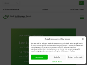 'bskonin.pl' screenshot