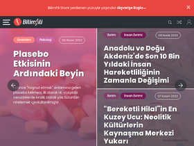 'bilimfili.com' screenshot