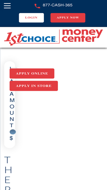 1stchoicemoney.com