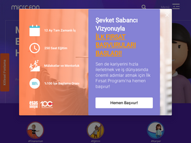 'microfon.co' screenshot