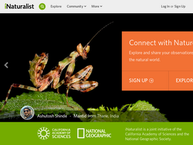 'inaturalist.org' screenshot