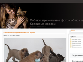 dogpic.com.ua