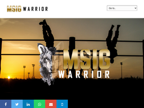'msigwarrior.com' screenshot