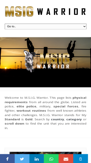 msigwarrior.com