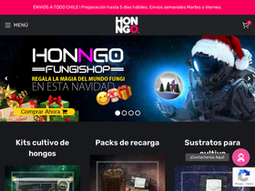 'honngo.cl' screenshot